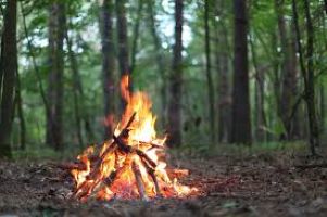 Open fire ban issued for county parks